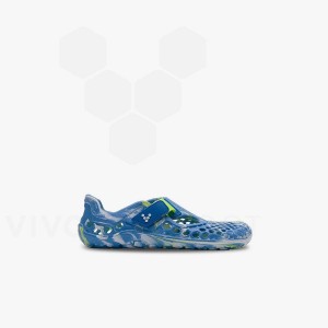 Vivobarefoot Ultra Bloom Preschool Schoenen Kinderen Blauw Lichtturquoise | NL390MM